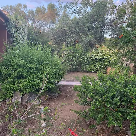 C17 Villaggio Asfodeli *