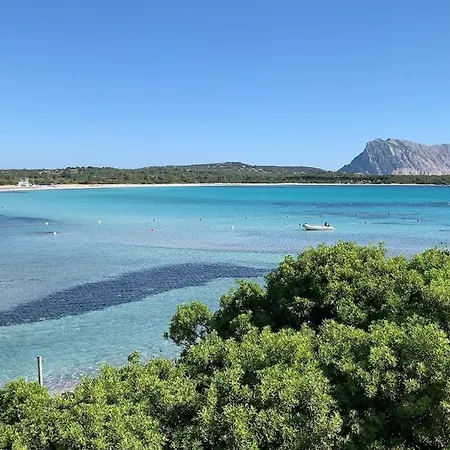 Apartment C17 Villaggio Asfodeli *